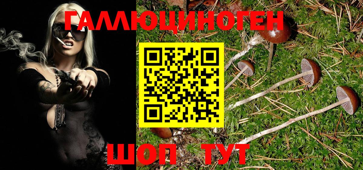 как найти закладки  Вход с VPN  Галлюциногенные грибы Magic Shrooms  Пугачёв  Псилоцибиновые грибы мухоморы 