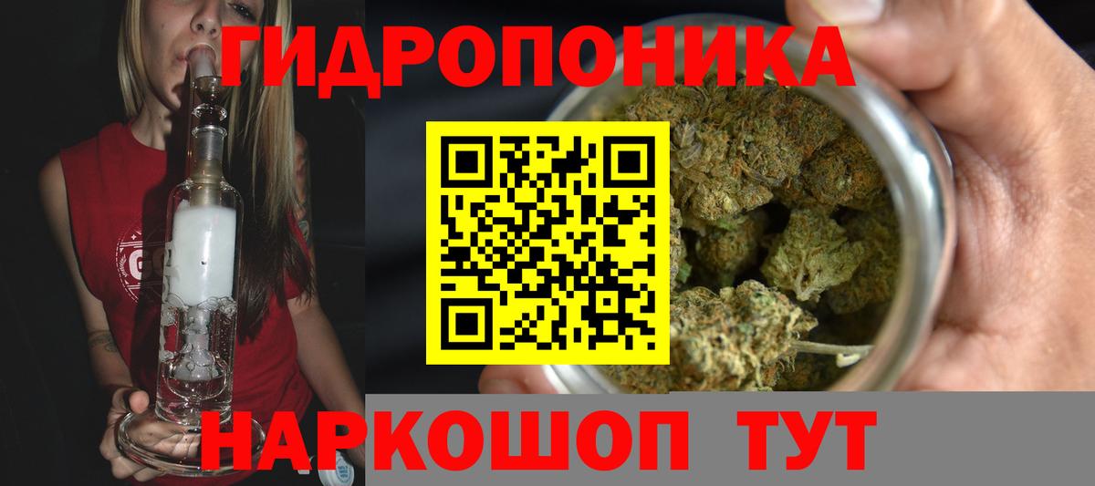 Бошки Шишки семена Пугачёв